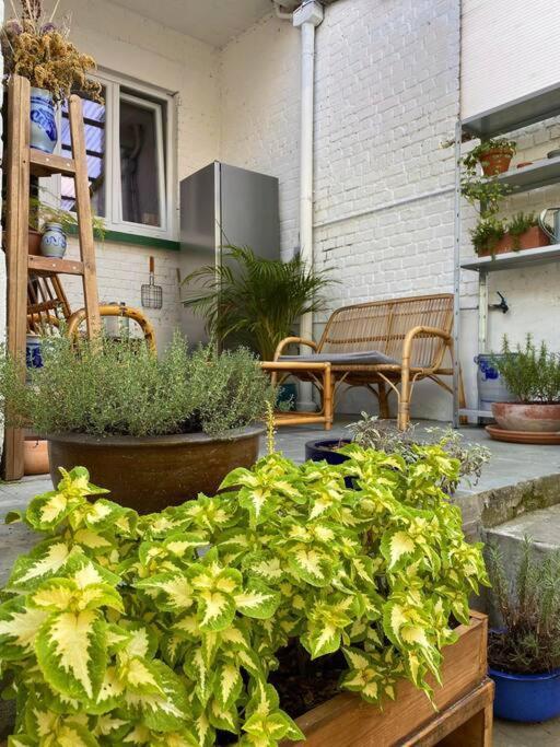 Apartamento Superbe Avec Jardin, Sauna Et Jacuzzi